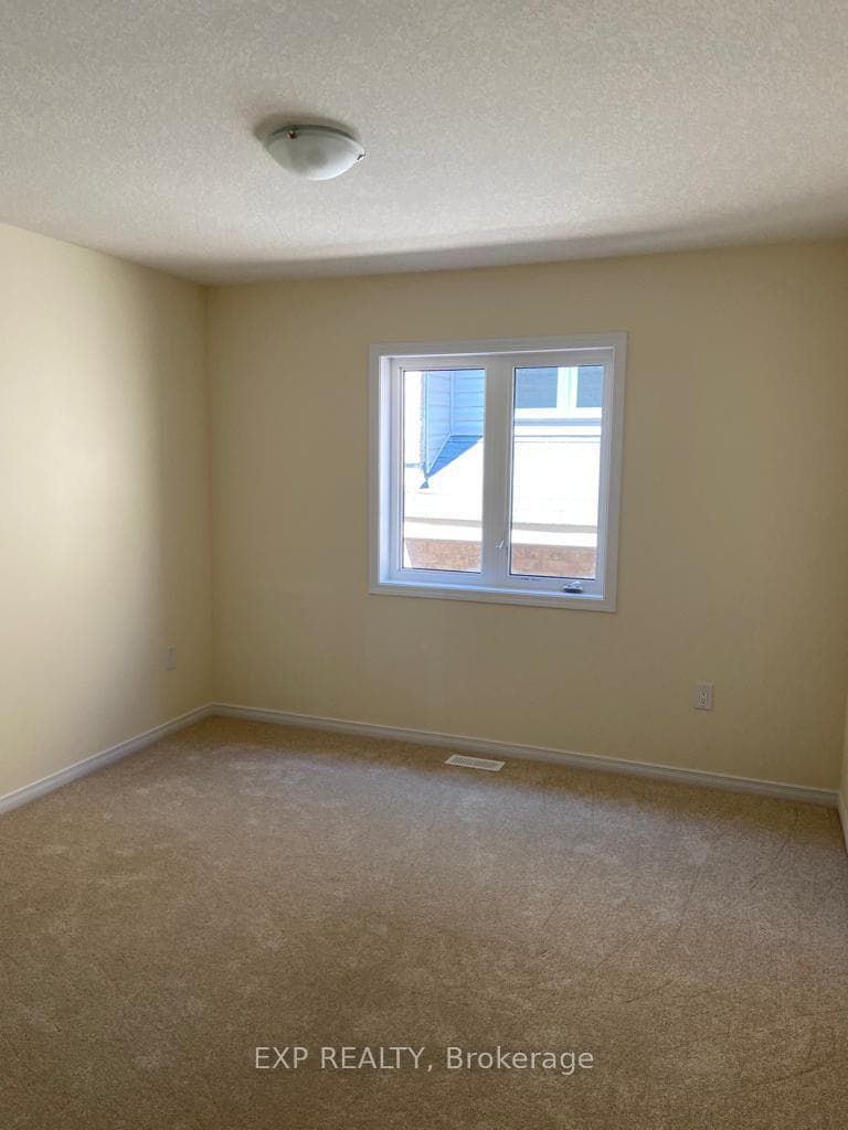 19 Sara Drive photo 19