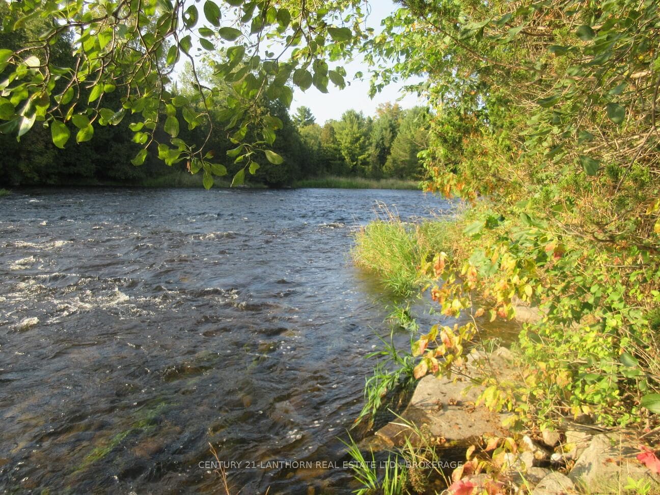 0 Salmon River Road photo 17