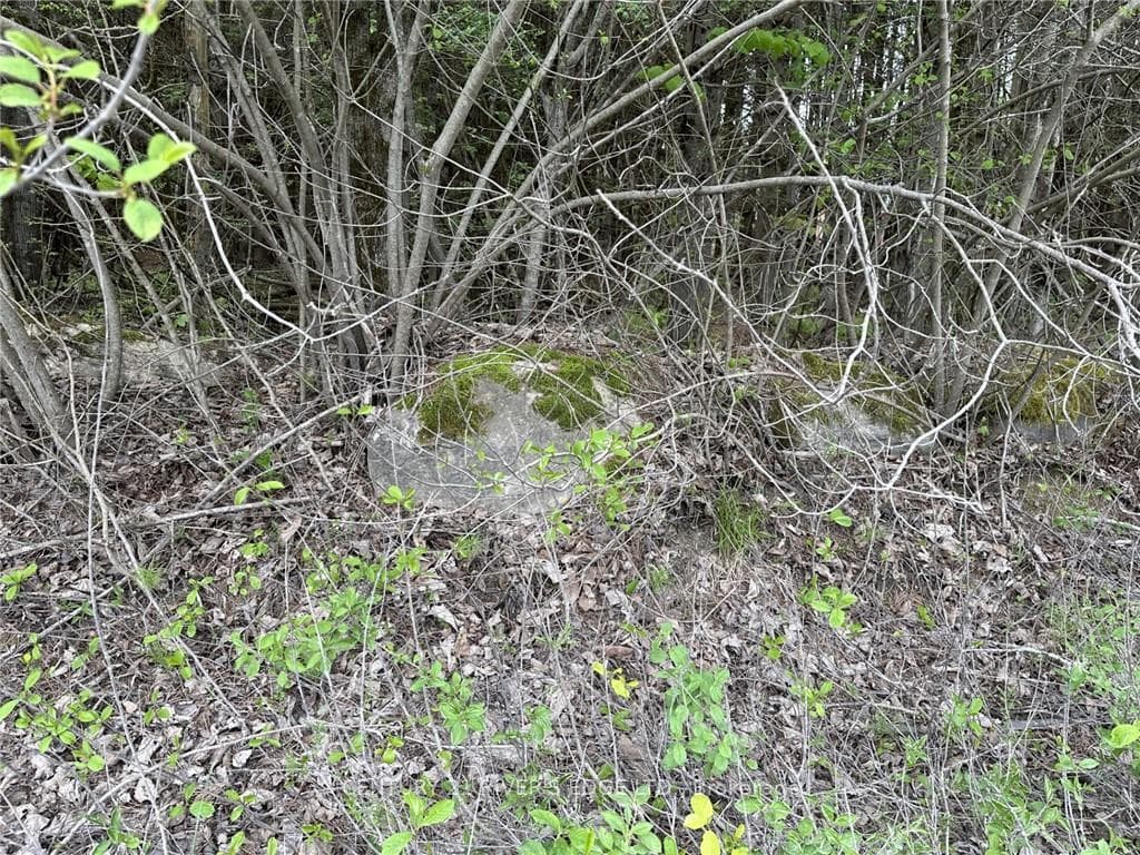 12082 LAND O'NOD Road photo 29