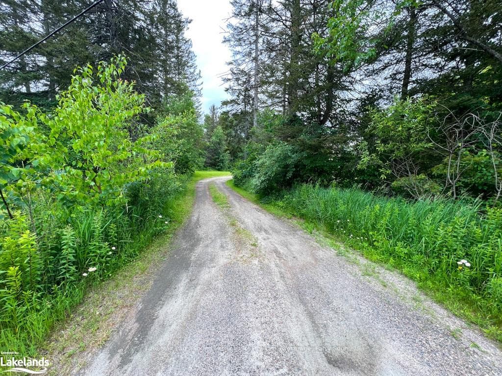 6524 HIGHWAY 124/520 N/A photo 7