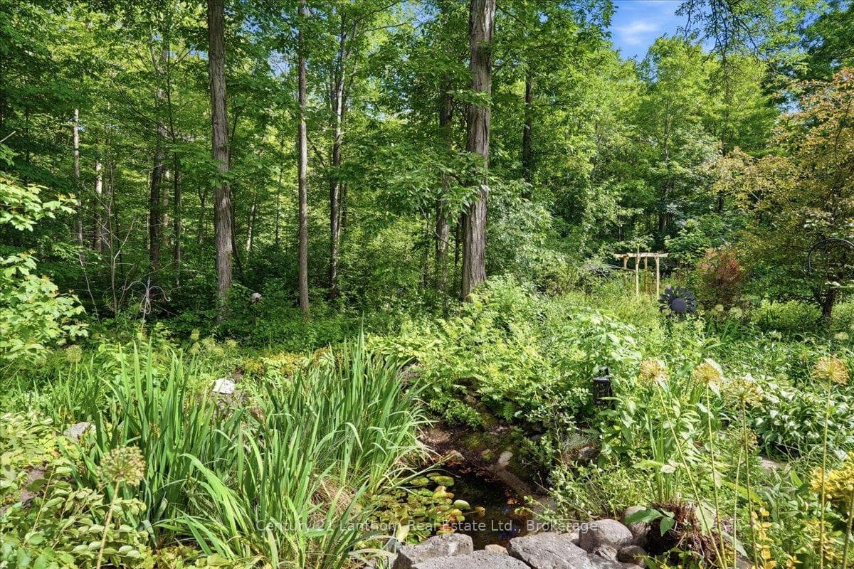 Pond and perennial gardens