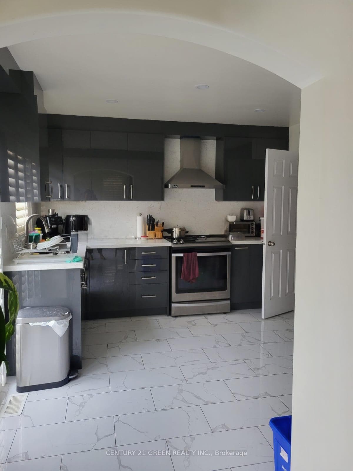 21 Mortimer Drive photo 4