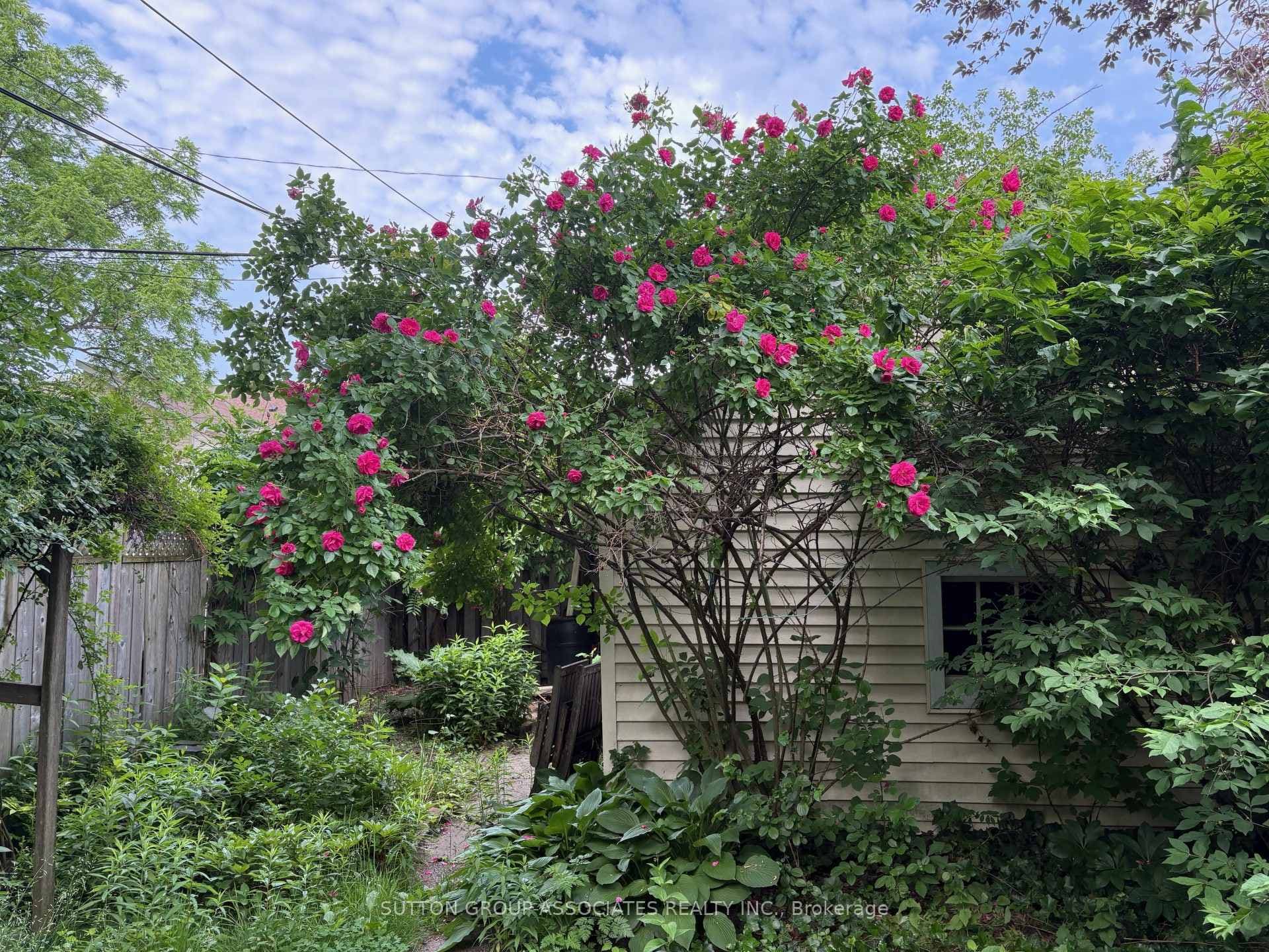 190 Brunswick Avenue photo 46