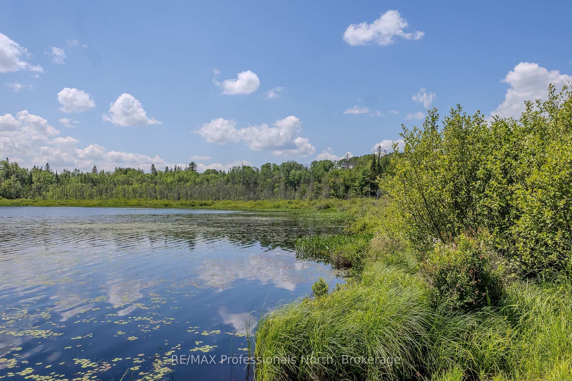 1367 Pickerel and Jack Lake Road photo 5