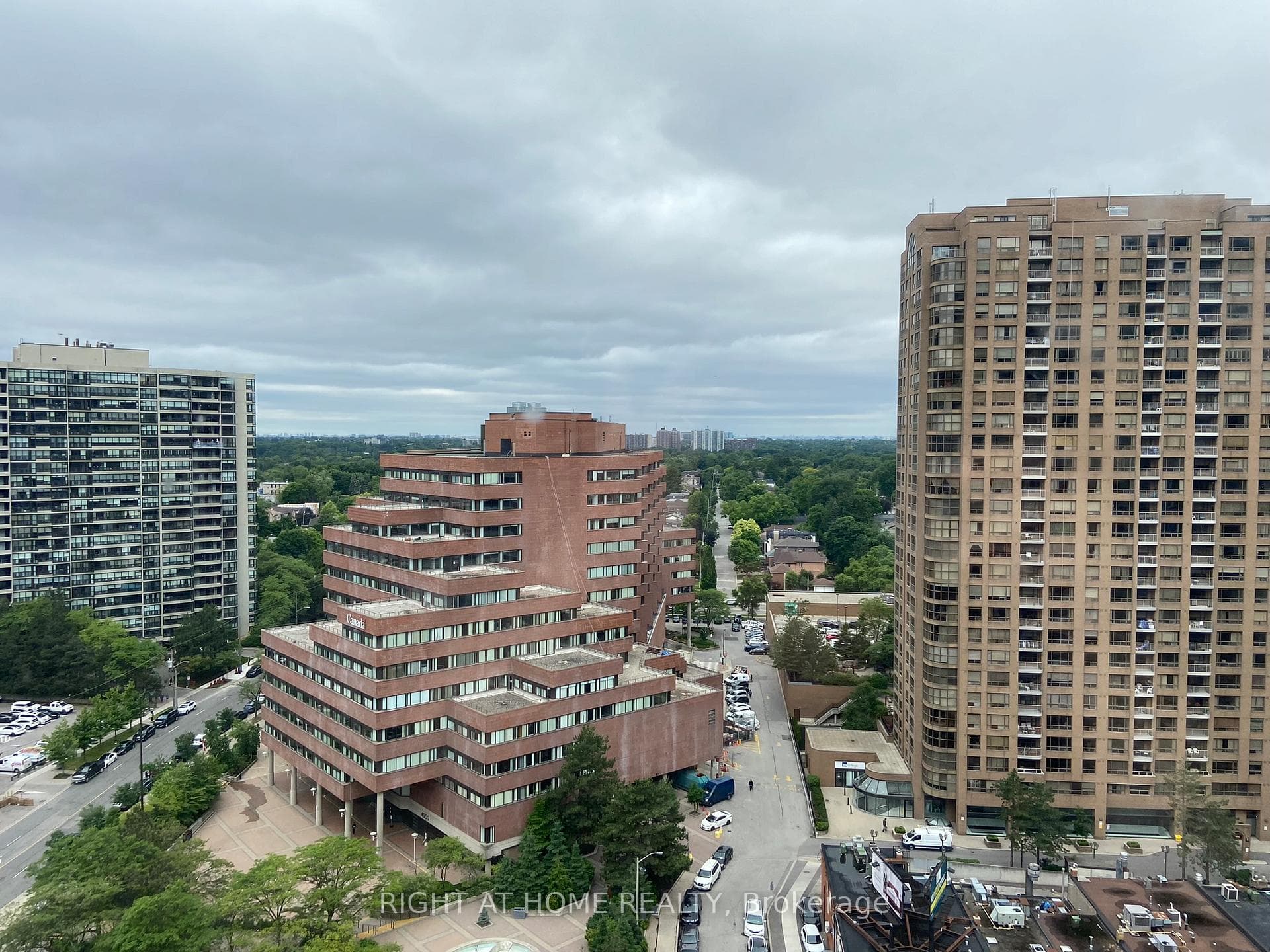 view
