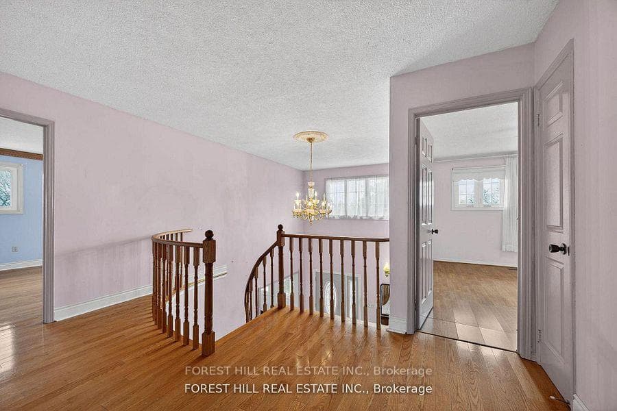20 Elston Court photo 12