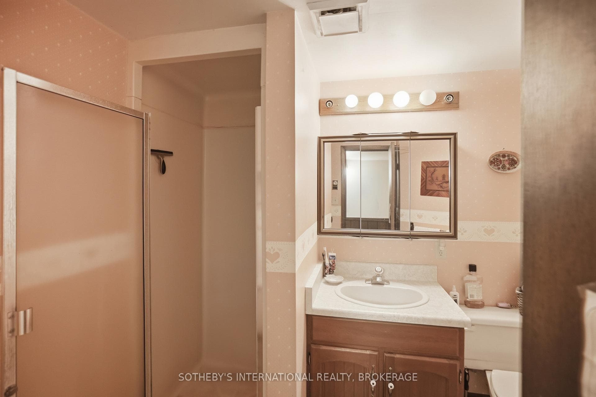 Lower level bathroom