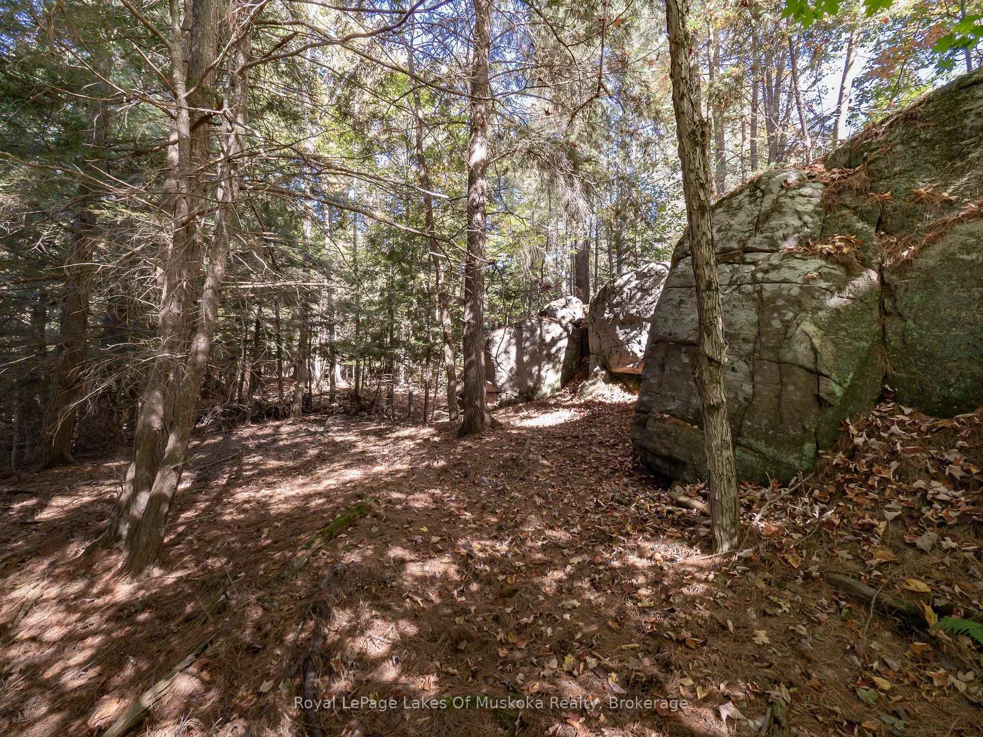 780 MANITOBA Street photo 28