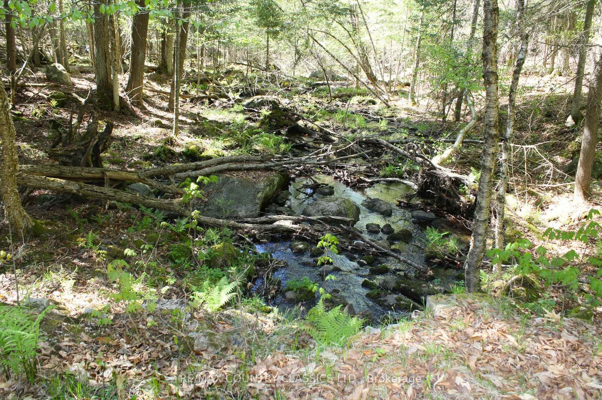 1060 Little Ireland Road photo 27