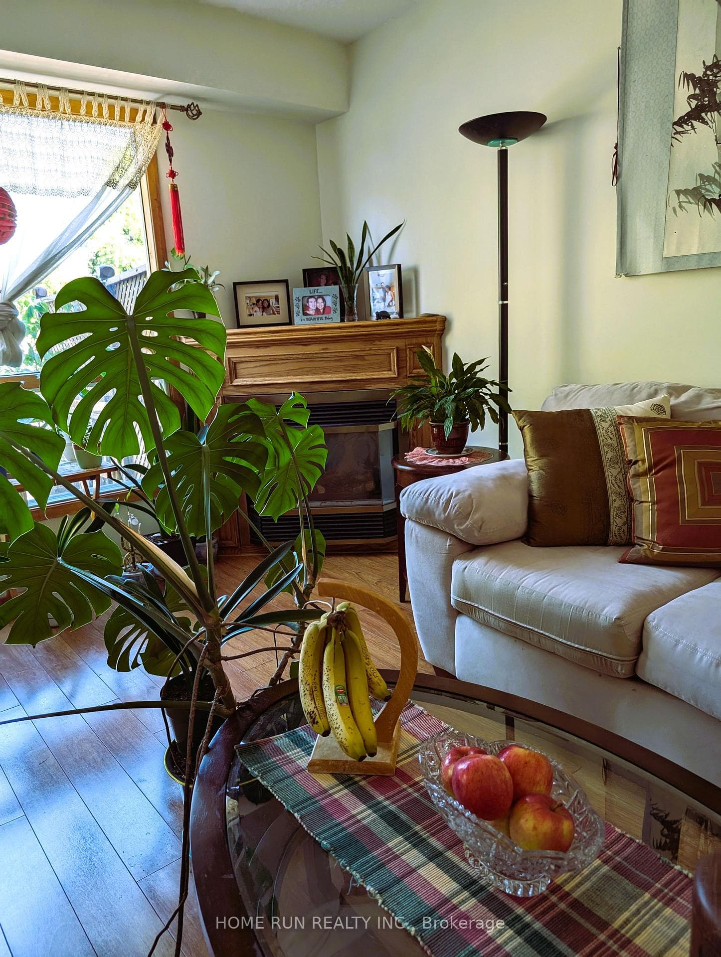 117 Dana Street photo 10