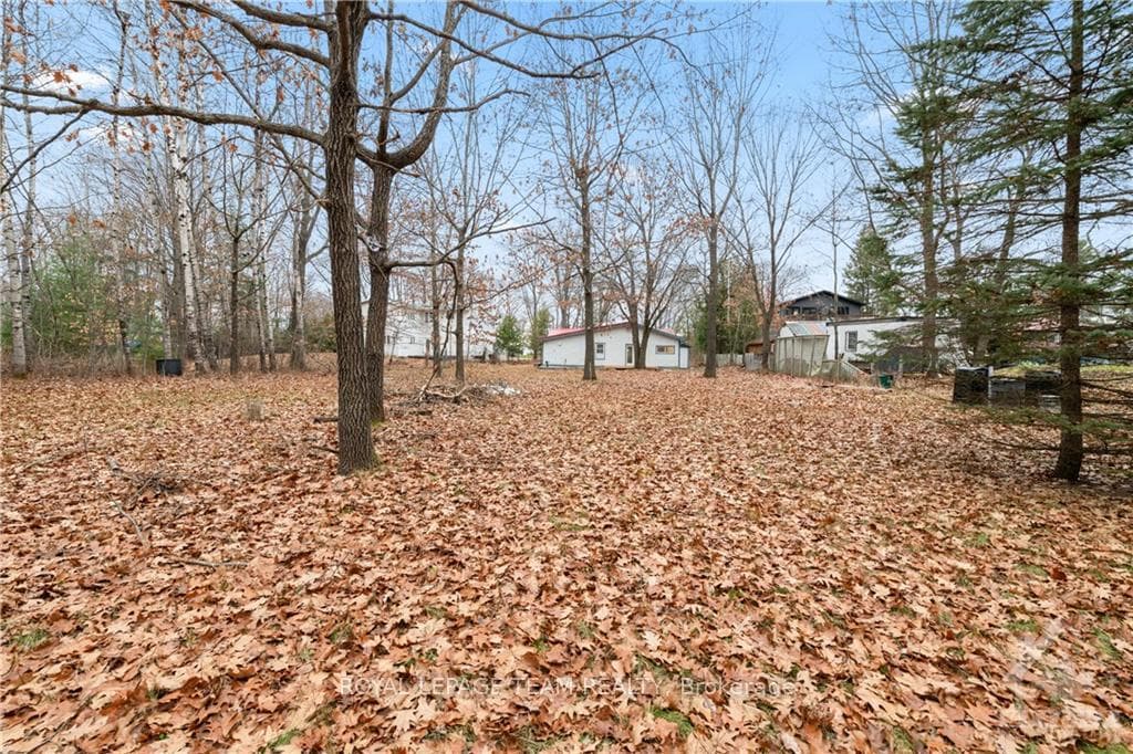 Backyard view from back of lot