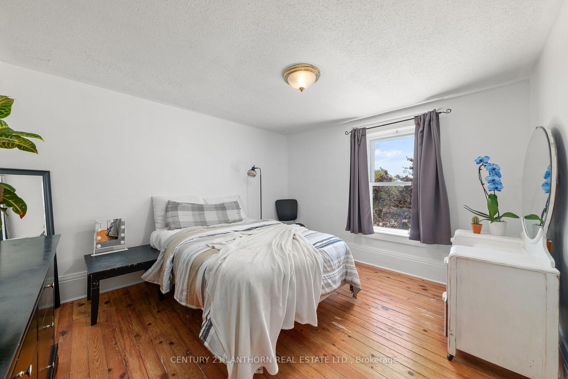 35 Campbell Street photo 21