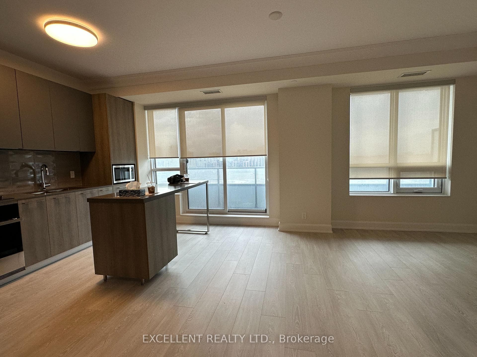 Living / Kitchen