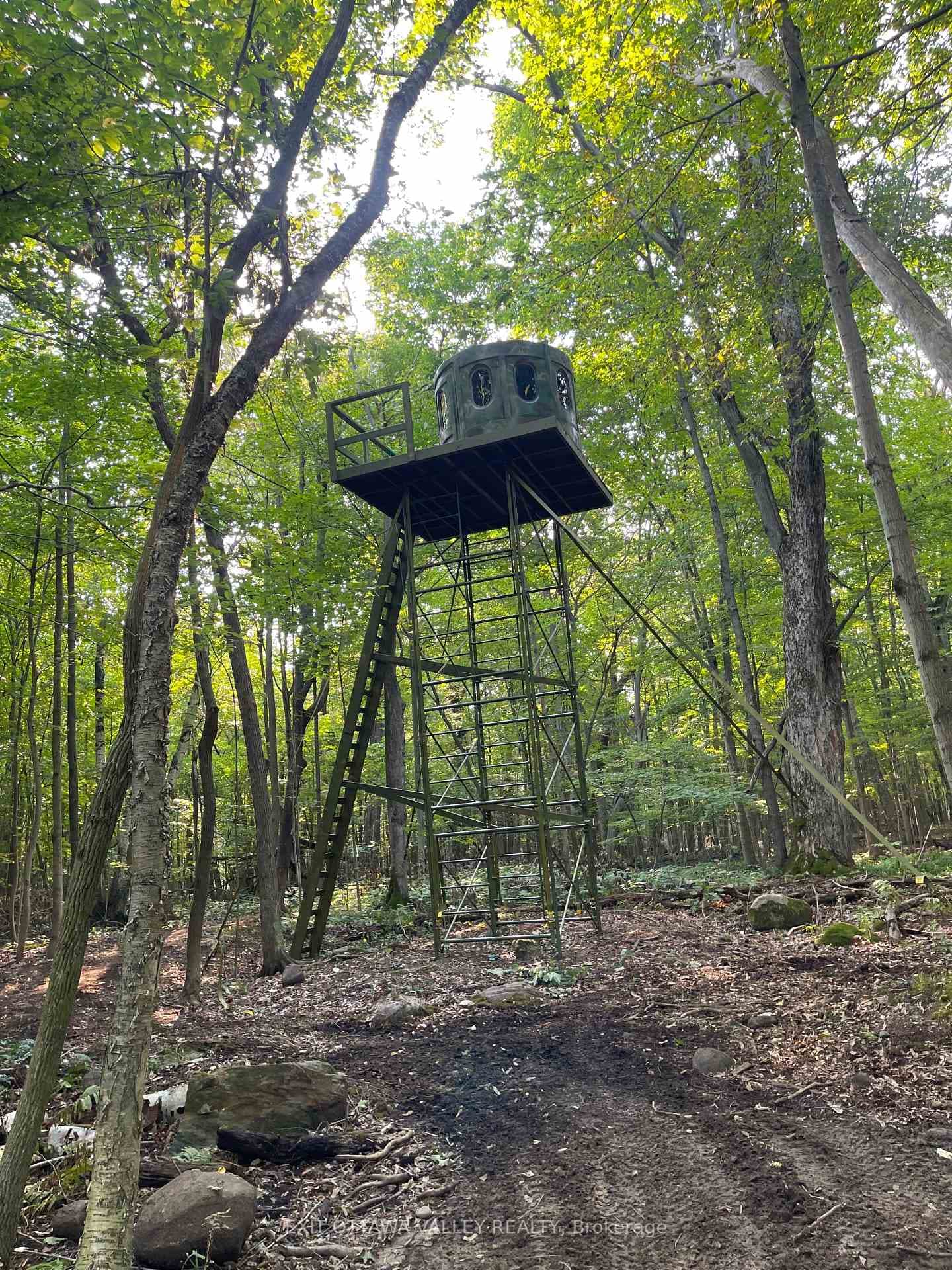 495 Gravel Pit Lane photo 43
