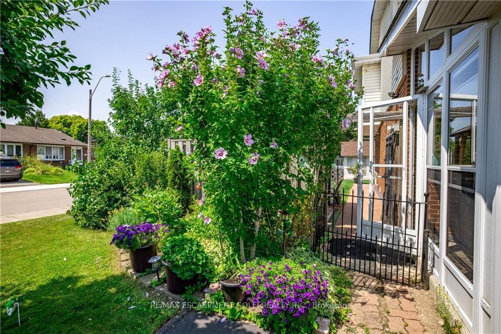3 Vincent Court photo 31