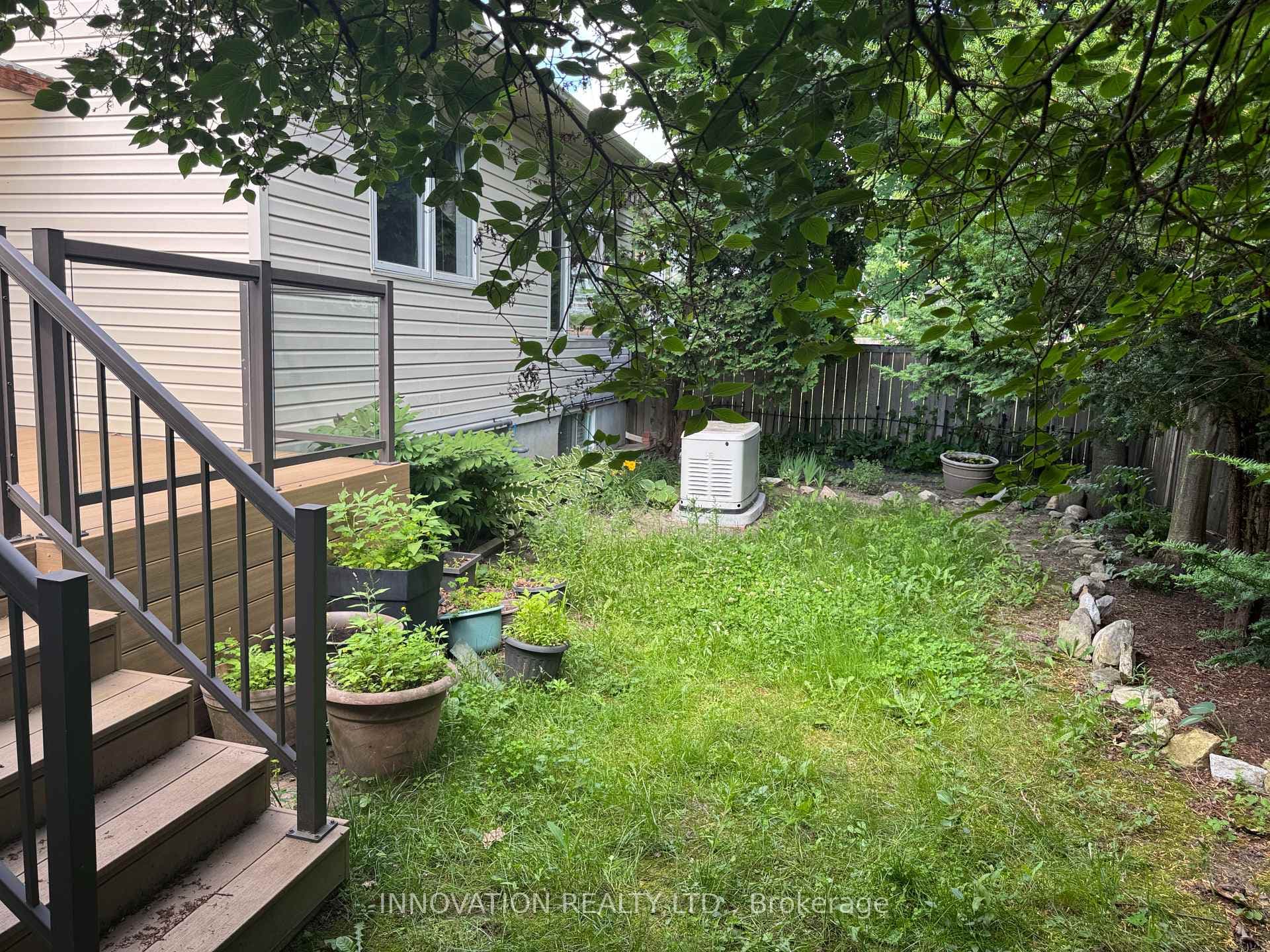 Back yard