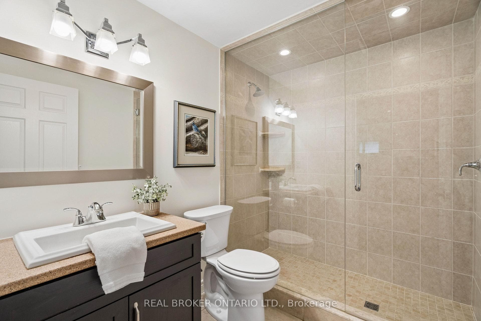 19 Simmonds Drive Unit 8 photo 40