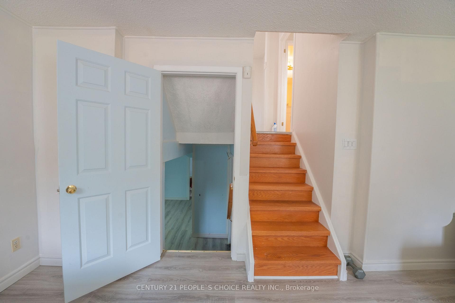 2247 Silverbirch Court photo 39