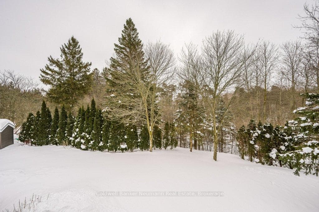 305 Farley Drive photo 49