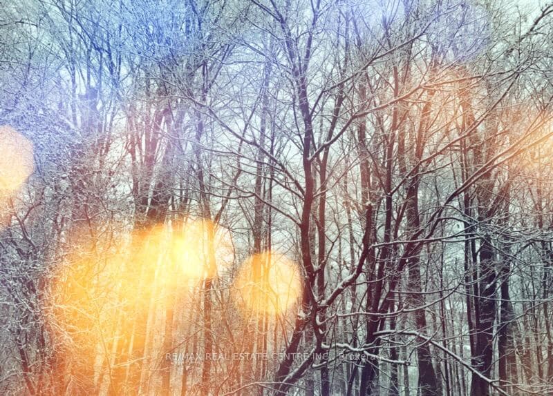 View from back deck