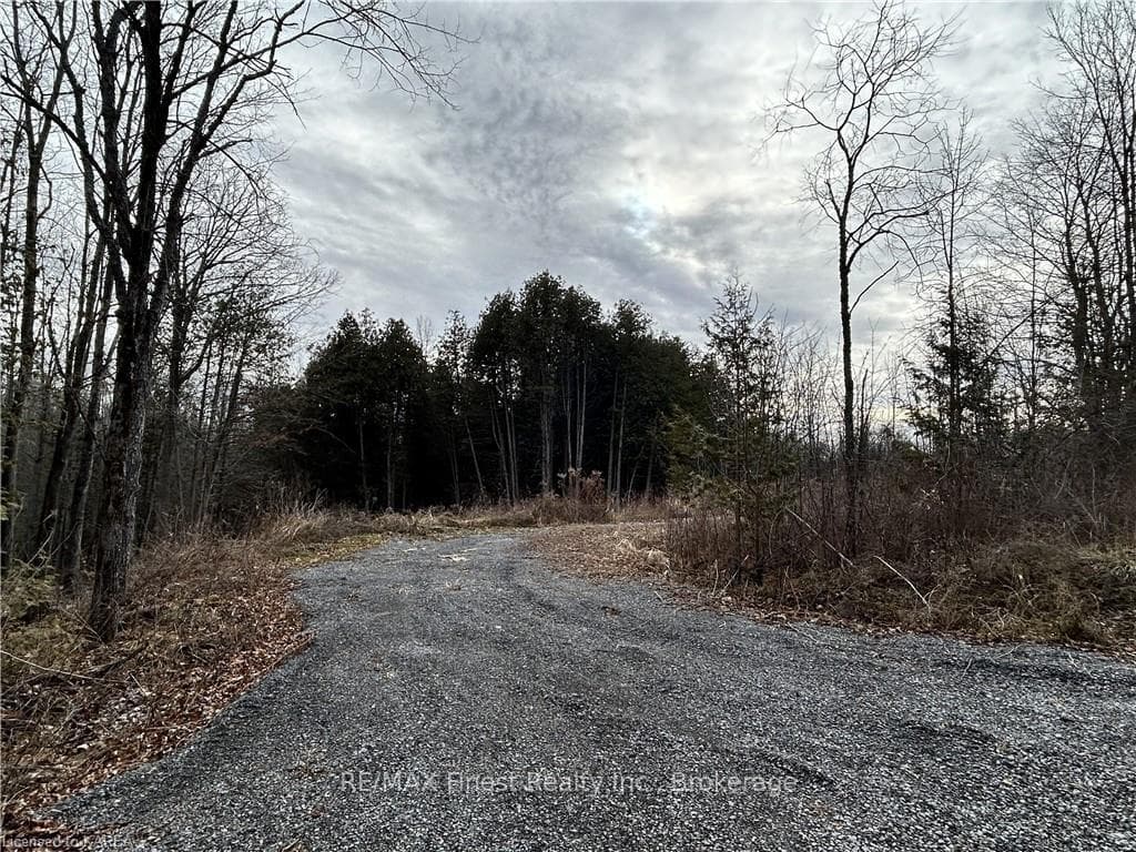 269 9TH CONCESSION Road photo 8