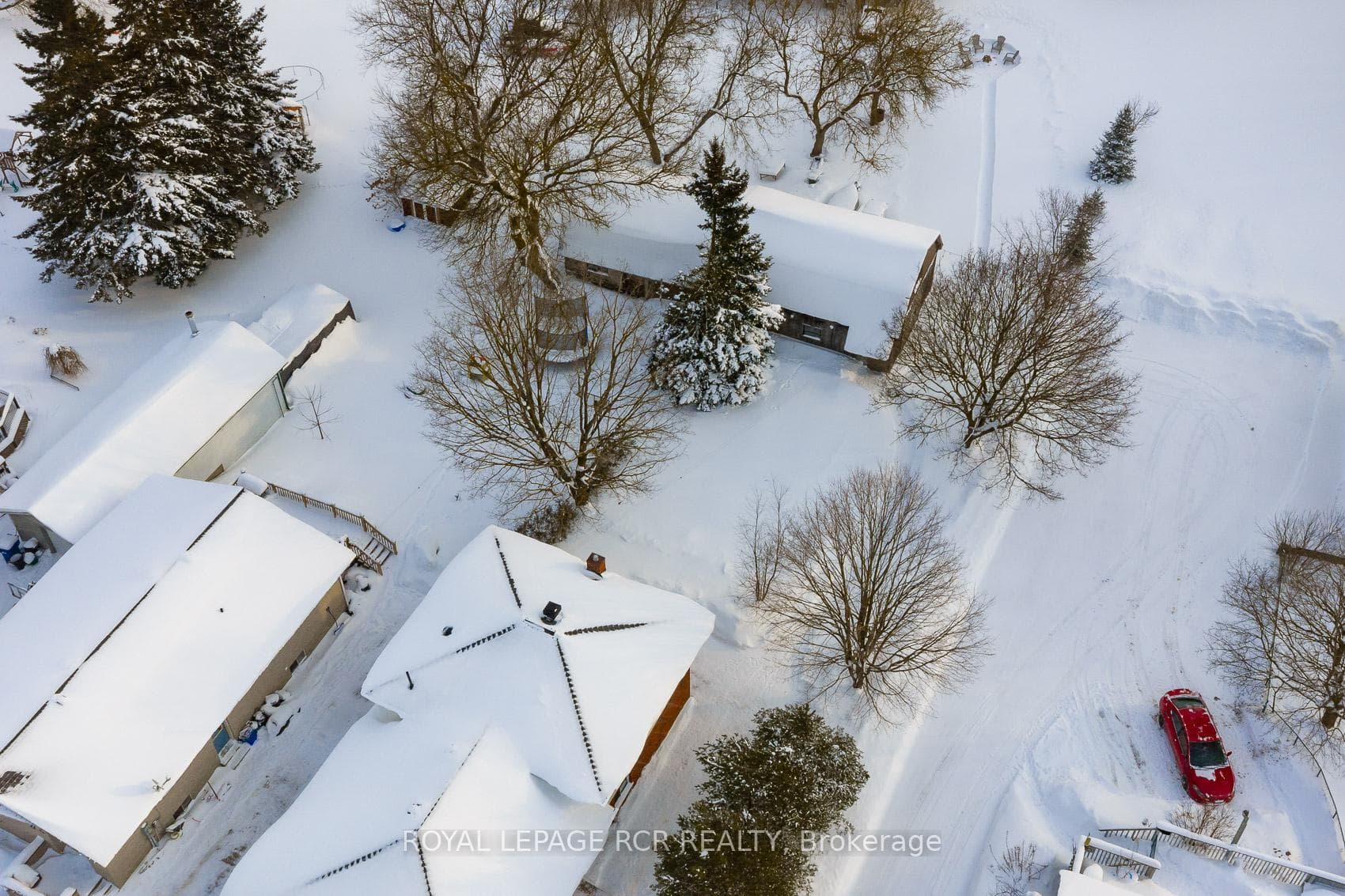 95 Amaranth Street photo 35