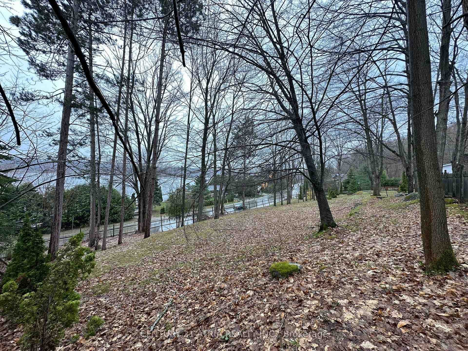 452 Champlain Road photo 31