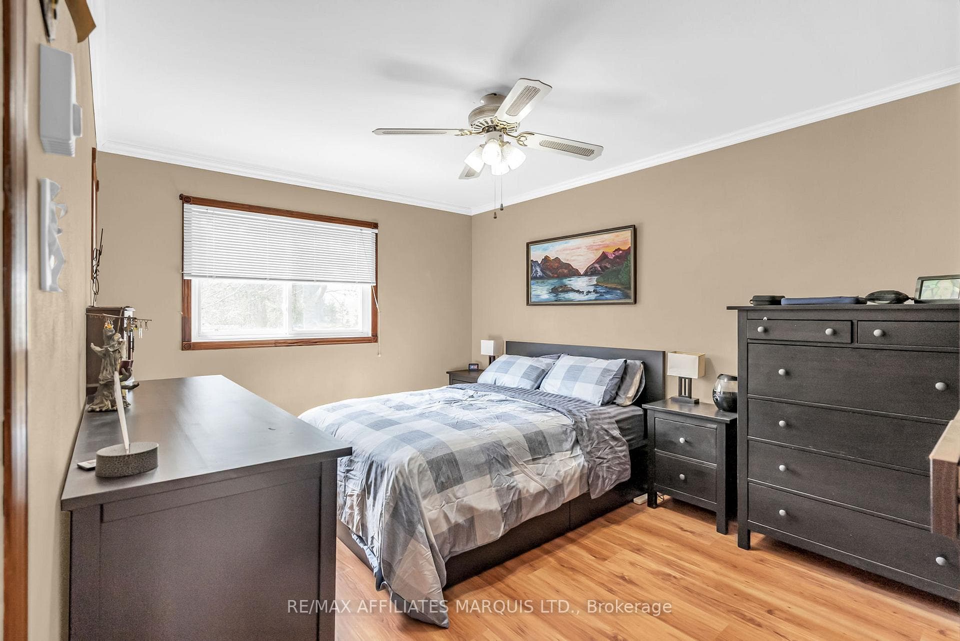 46 McKenzie Street photo 13