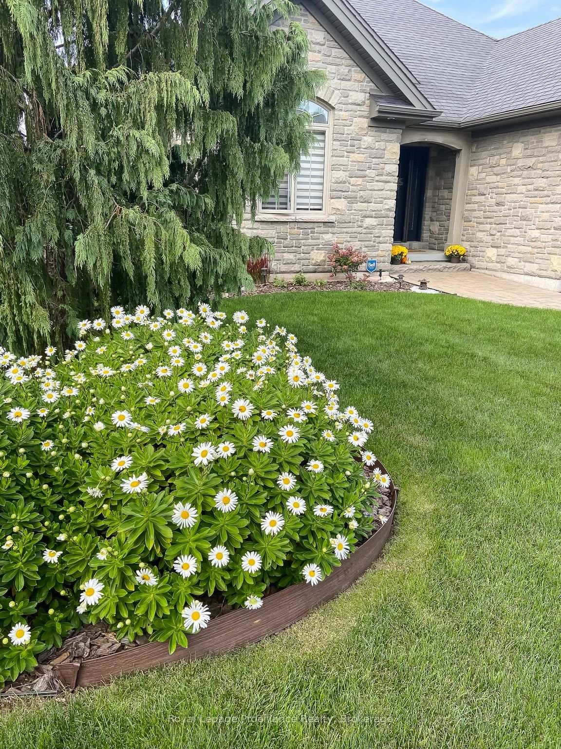 9 Rosslyn Drive photo 3