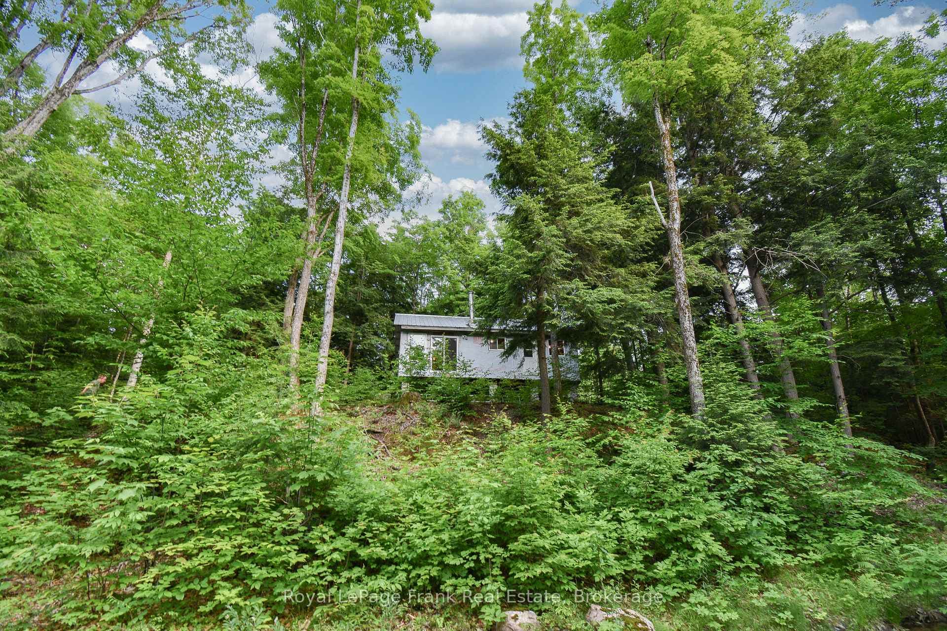 1804 Clydesdale Road photo 13