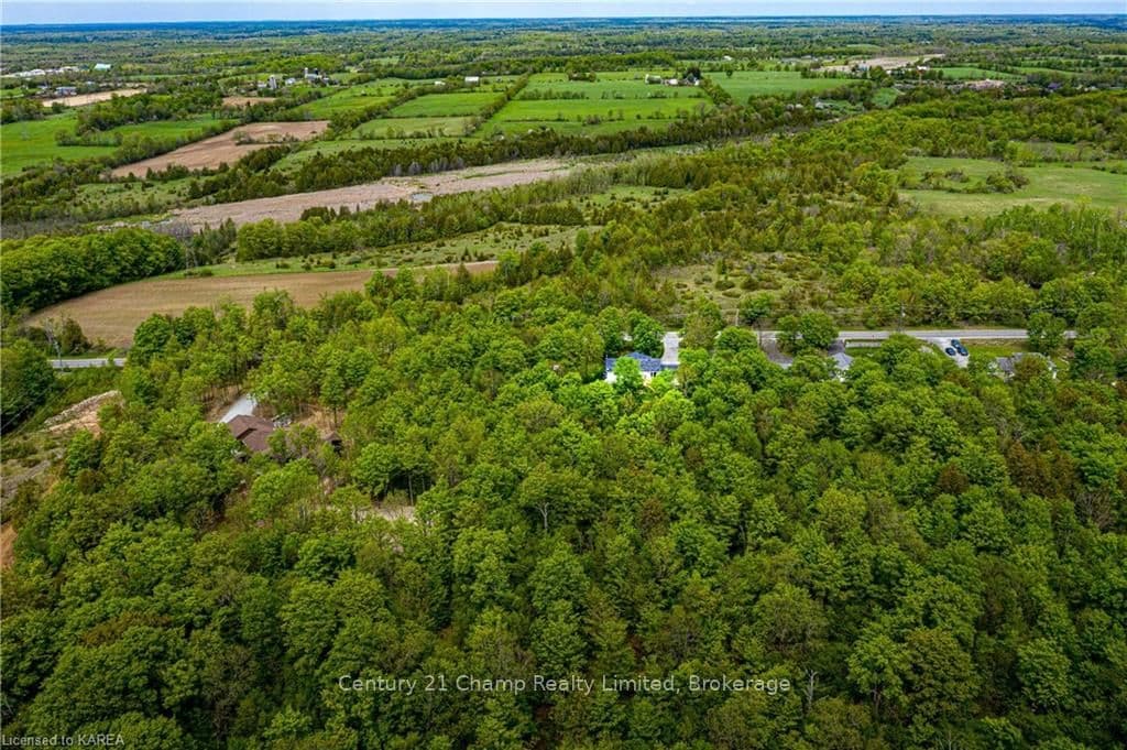 3820 JAMIESON Road photo 46