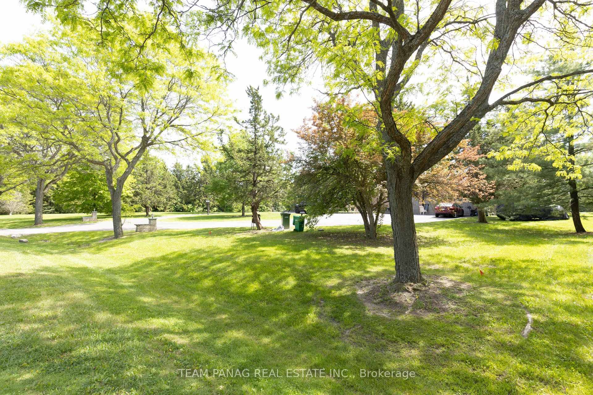 4 Forestbrook Court photo 20
