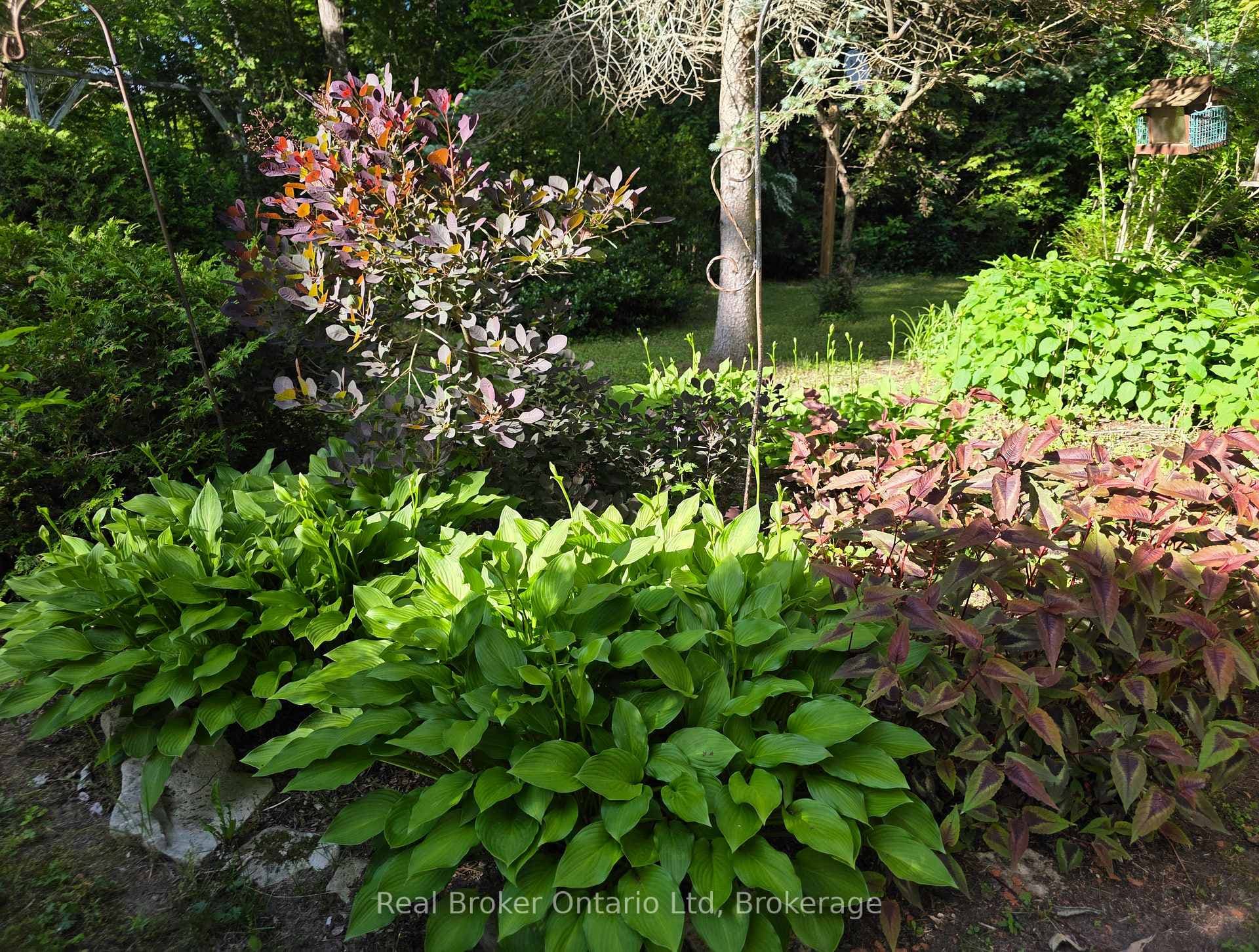 9 Burton Crescent photo 33