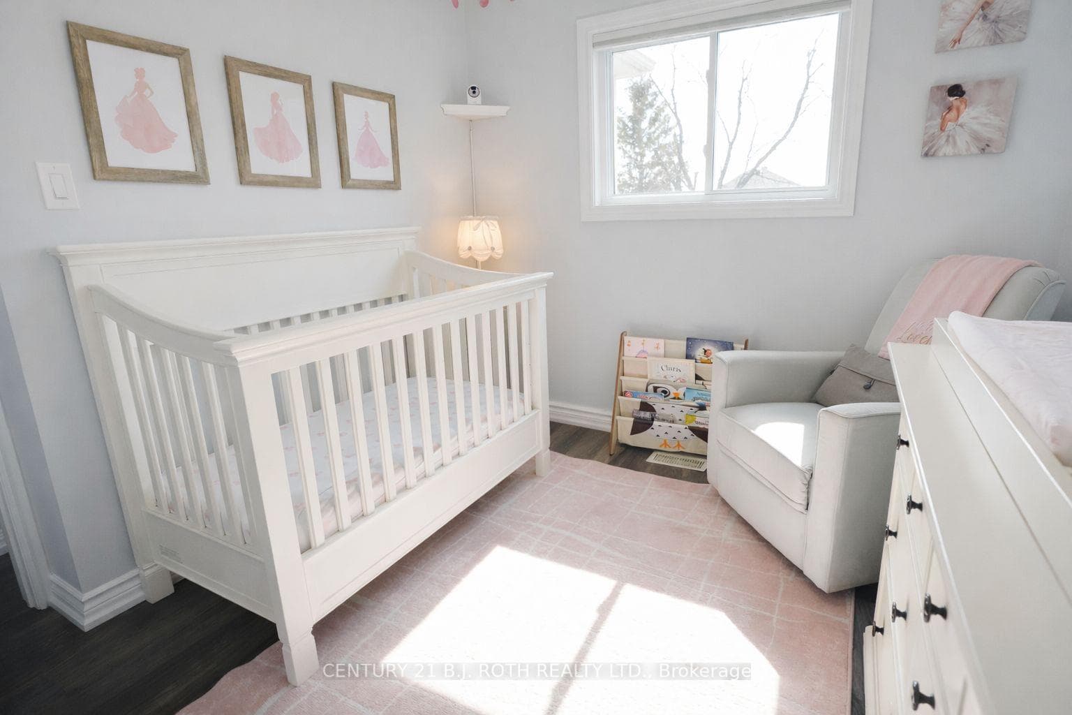 9 Laidlaw Drive photo 16