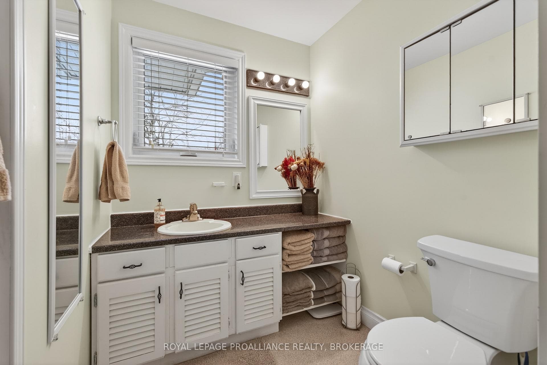 4909 Alex Mclean Lane photo 19