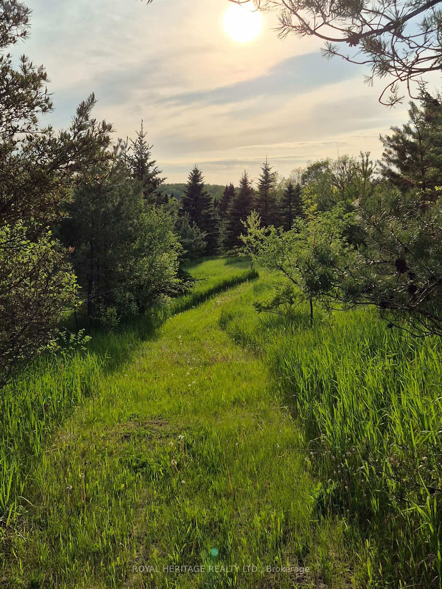 Groomed trails throughout the property