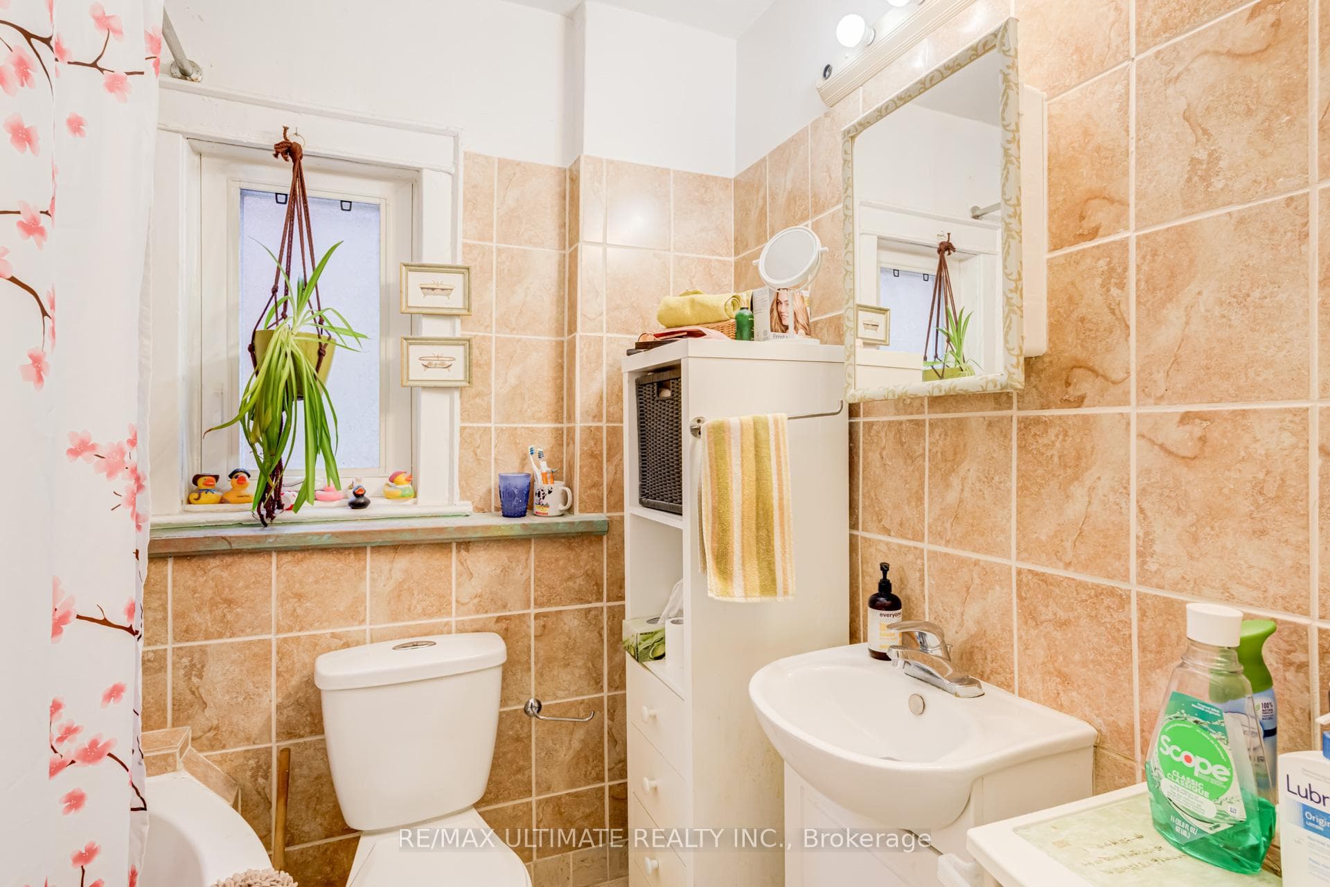 533 Kingston Road photo 33