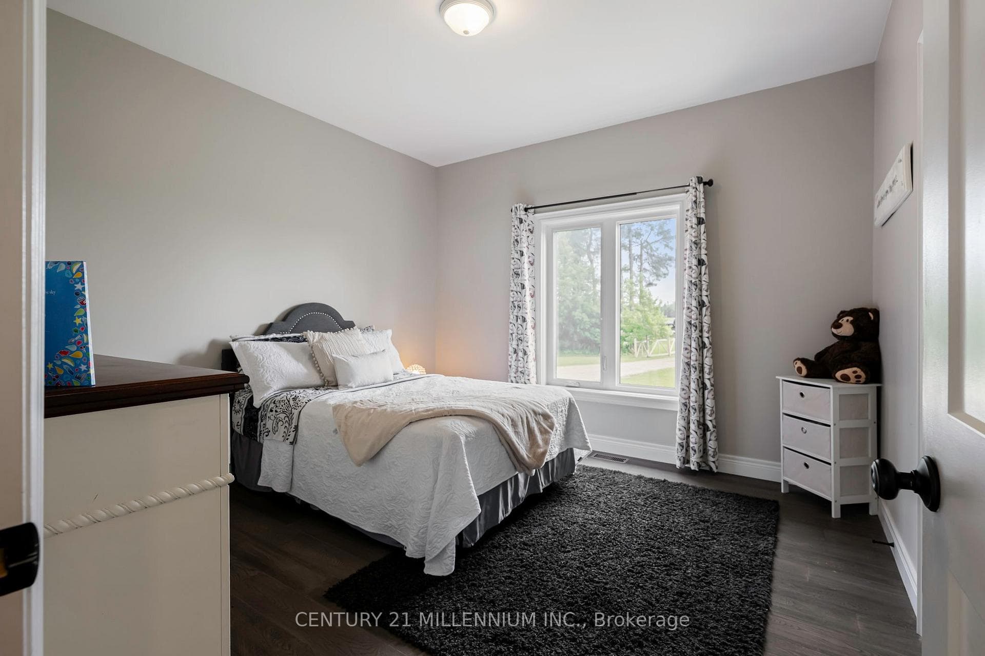 706183 County Rd 21 Road photo 15