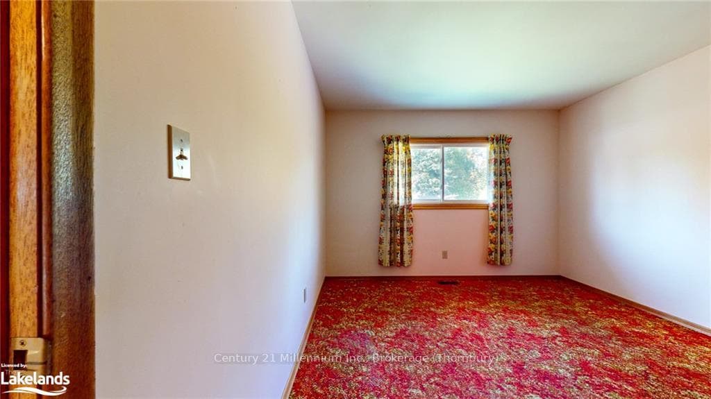 46 LOUISA Street photo 28