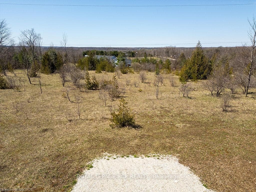 126 Inkerman Street photo 8