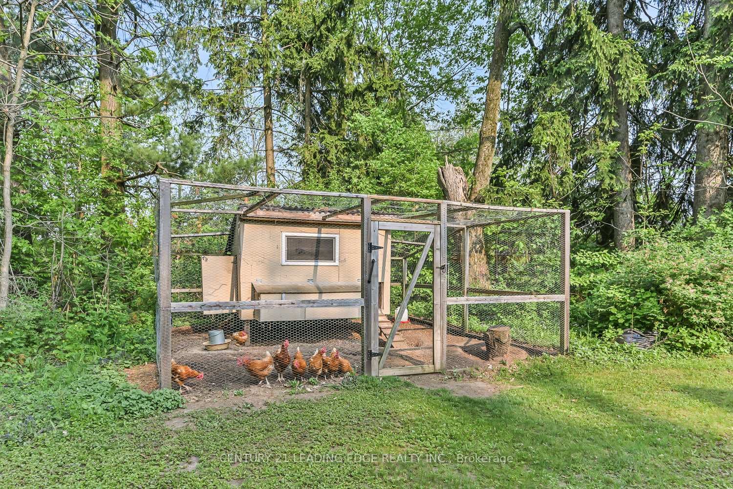 5845 Aurora Road photo 40