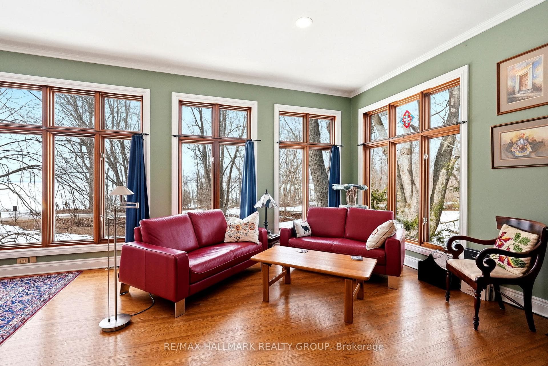 53 Scrivens Street photo 24