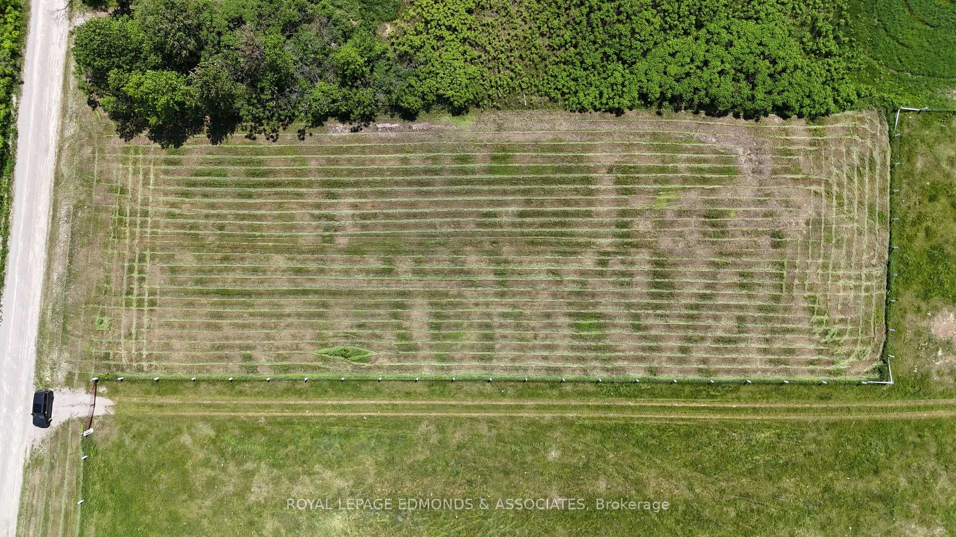 126 Davidson Road photo 14
