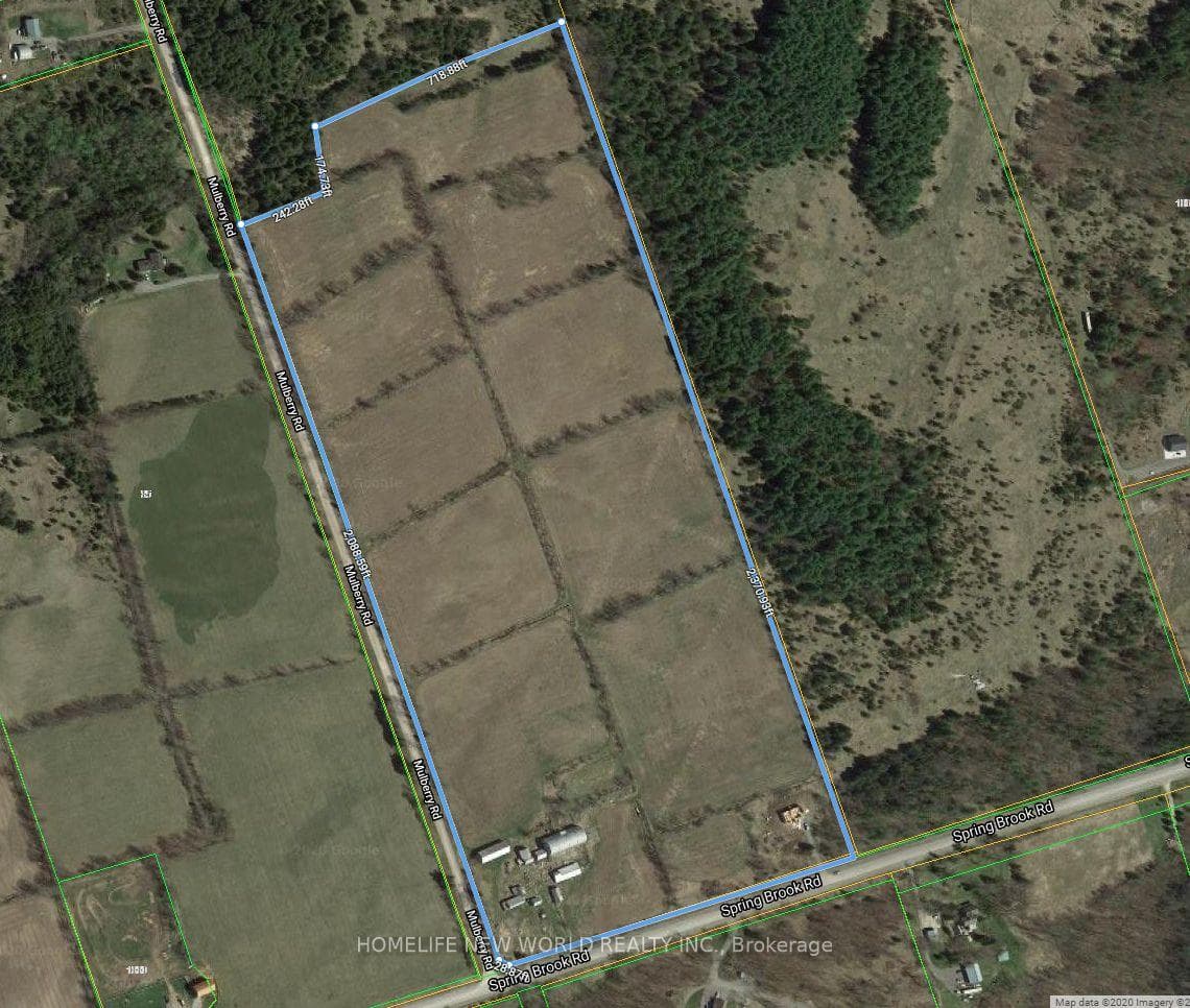 1762 Springbrook Road photo 2