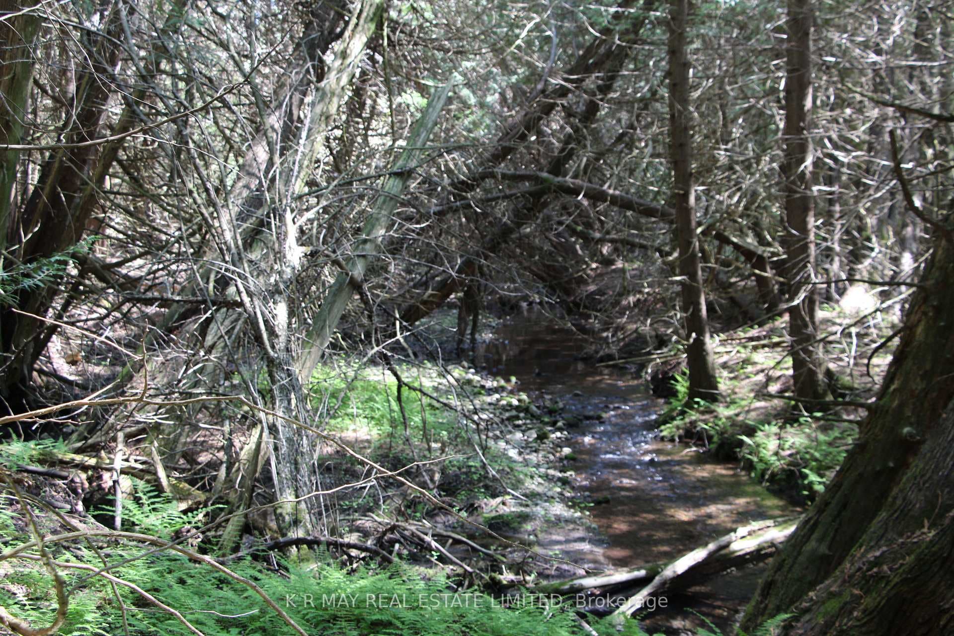 picturesque creek runs width of property