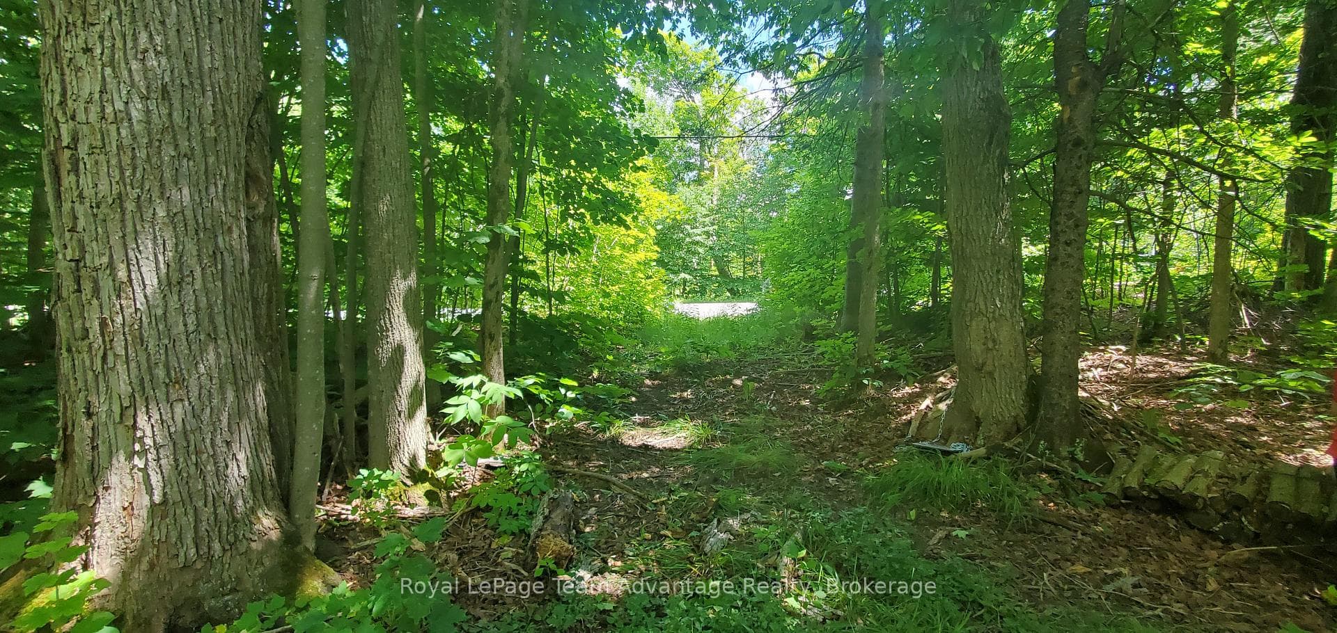 22 SUNNYSHORE PARK Drive photo 1