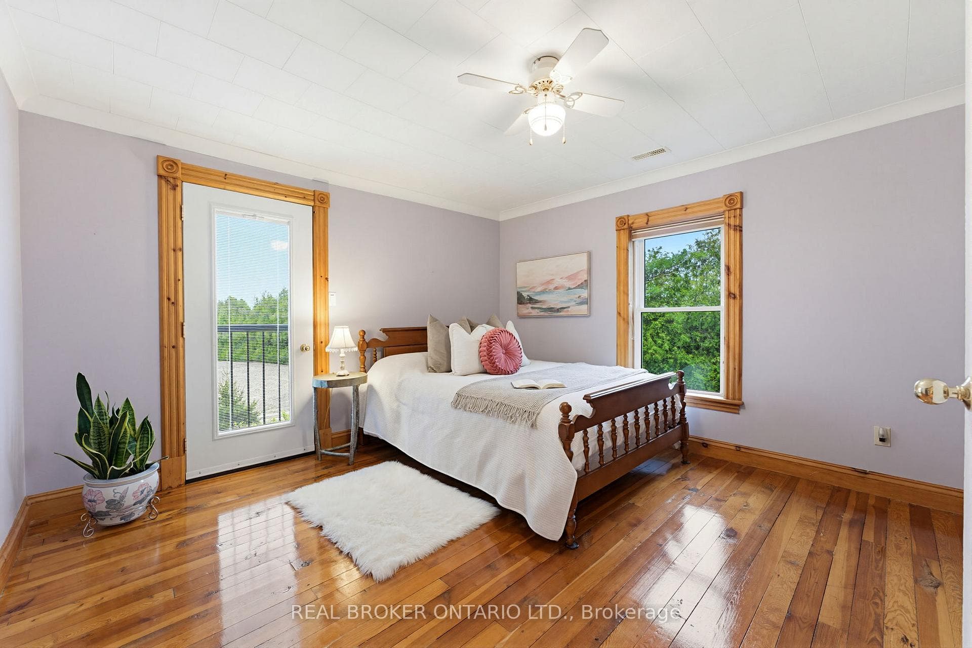 31 Maple Avenue photo 25