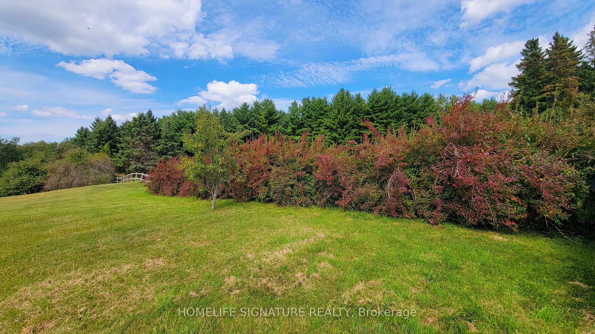 5273 25 Side Road photo 39
