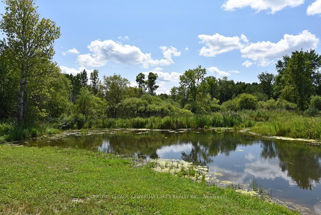 425 Digby Laxton Boundary Road photo 40