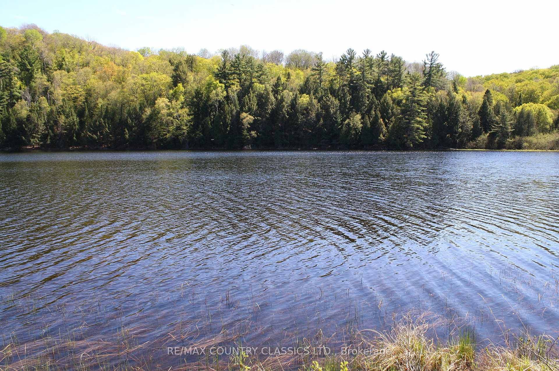 1060 Little Ireland Road photo 19